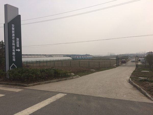 �P(gu��n)���҂�